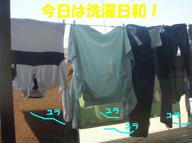 img20090724.jpg