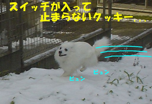 img20080316_7.jpg