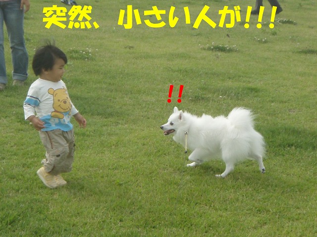 img20080630_6.jpg