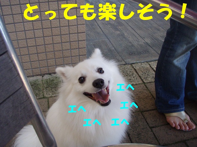 img20090801_5.jpg