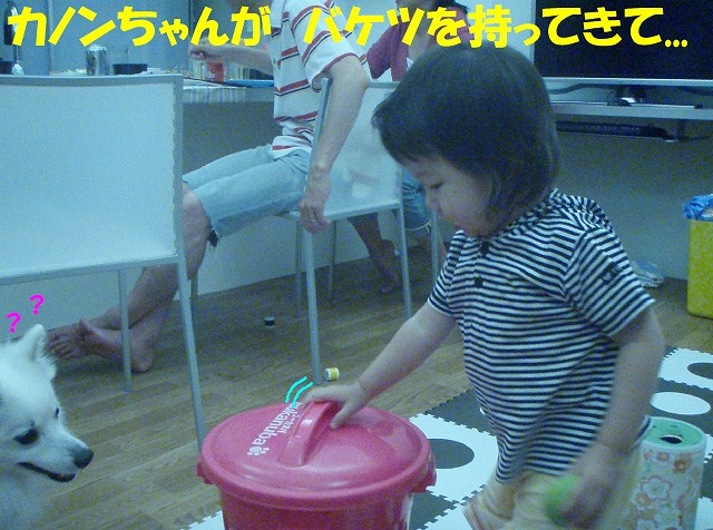 img20080713.jpg