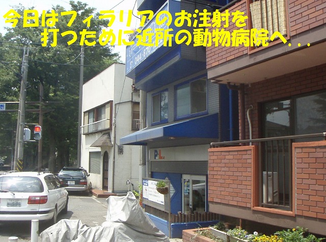 img20080527.jpg
