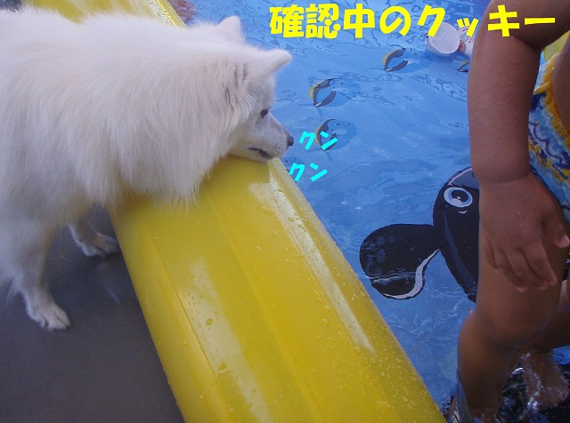 img20080927_1.jpg
