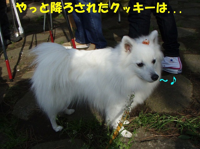 img20080508_5.jpg
