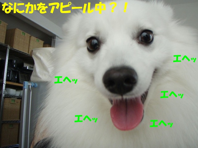 img20091108_3.jpg