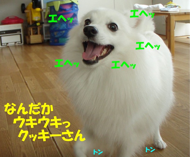 img20091108_1.jpg