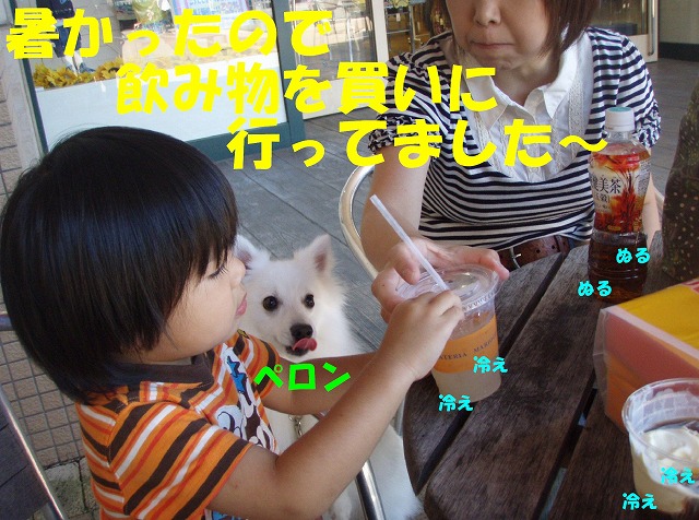 img20090801_9.jpg