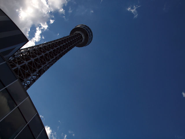 pa111228.jpg
