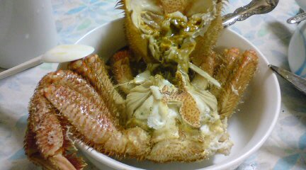 20100125234047.jpg