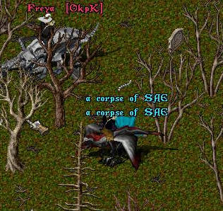 2.bmp