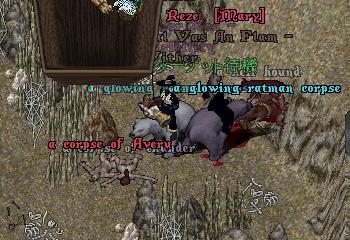 ave.jpg