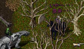 img20060426_7.bmp