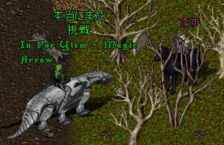 img20060426_6.bmp