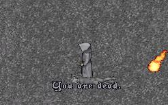 img20060428_4.bmp