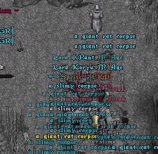 d.jpg