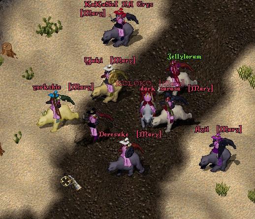 11.jpg