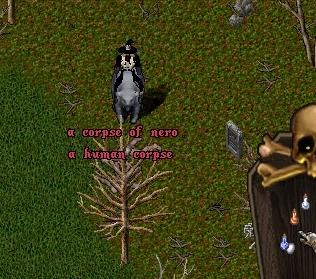 oz.jpg