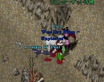 nigo.jpg
