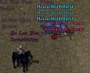 img20060426_8.bmp
