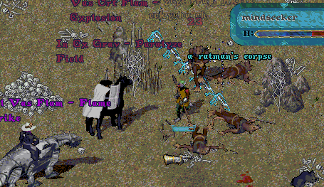 mindseek.bmp