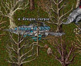 3.bmp
