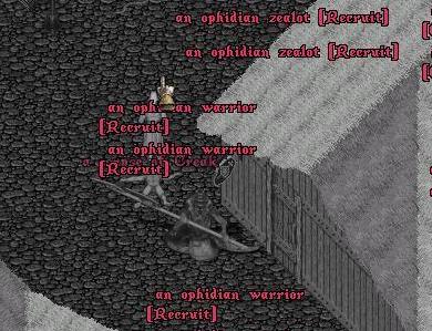 d1.jpg