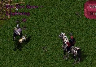 img20060509_2.jpg