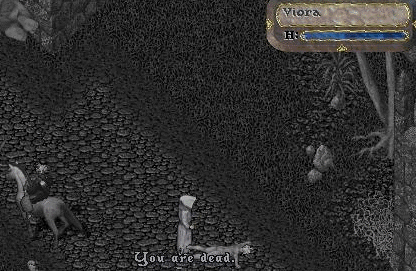 img20060429_6.bmp