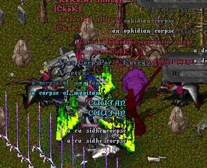ao1.jpg