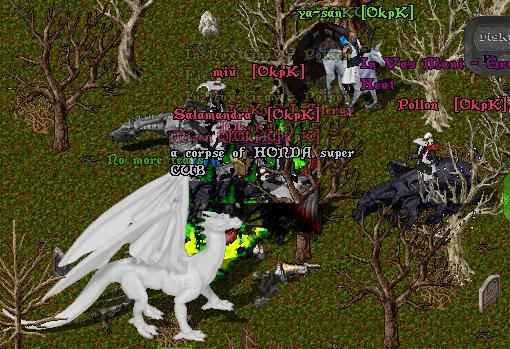 01.jpg