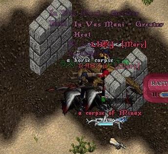 minax2.jpg