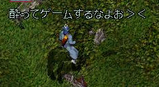 img20060429_1.bmp