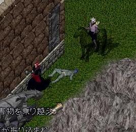 img20060509_6.jpg