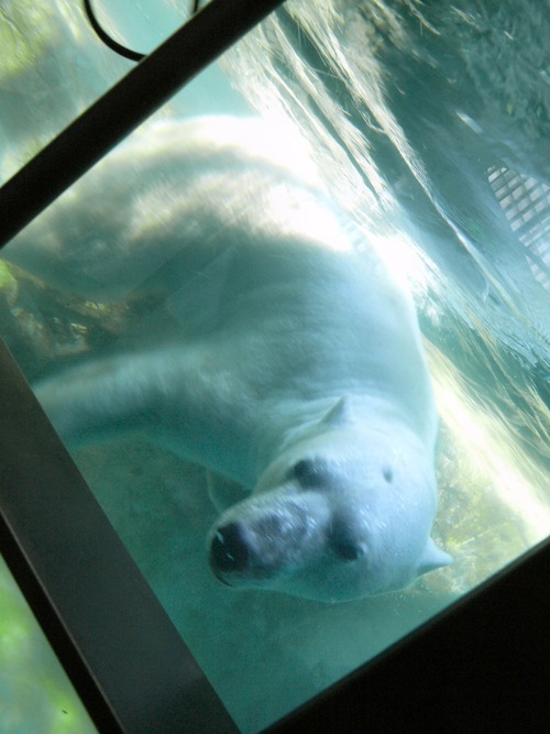 046