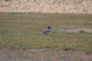 IMG_1881.jpg