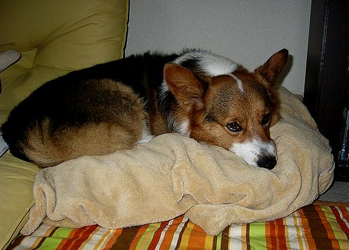 p1010182.jpg