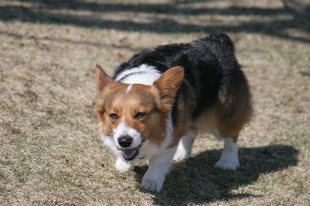 IMG_2153.jpg