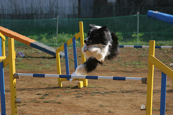 jump.jpg