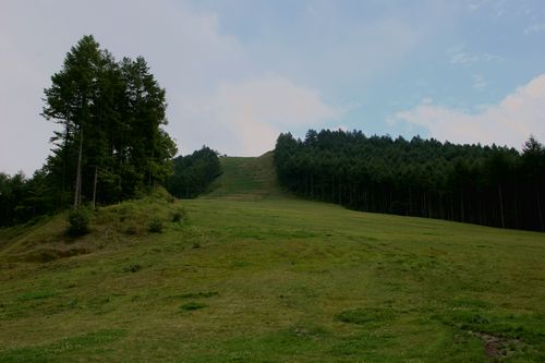 IMG_6224.jpg