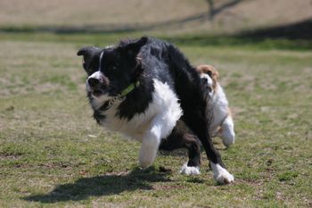 IMG_2195.jpg