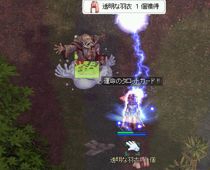 サニータロット