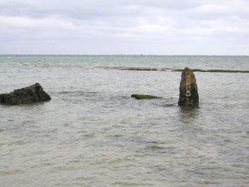 img20100206_2.jpg