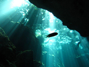 cenote4