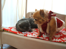 dscf6357.jpg