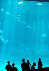 img20091026.jpg