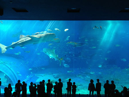 okinawa6