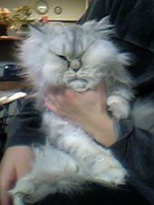 img20060221.jpg