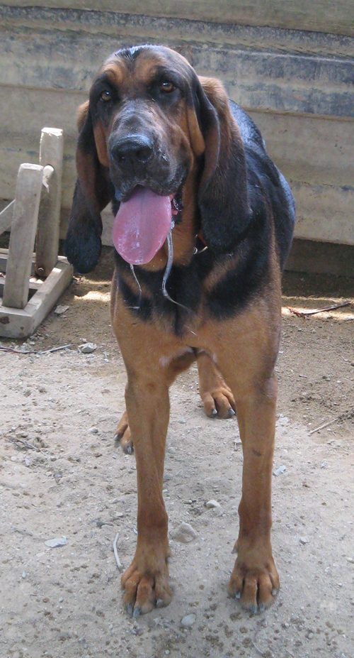 img20090701.jpg