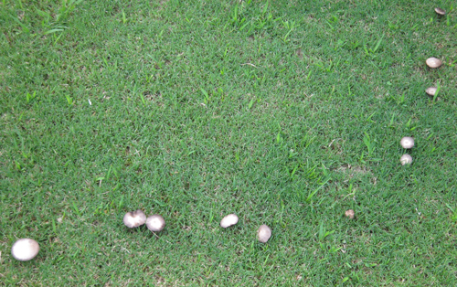 b08.jpg