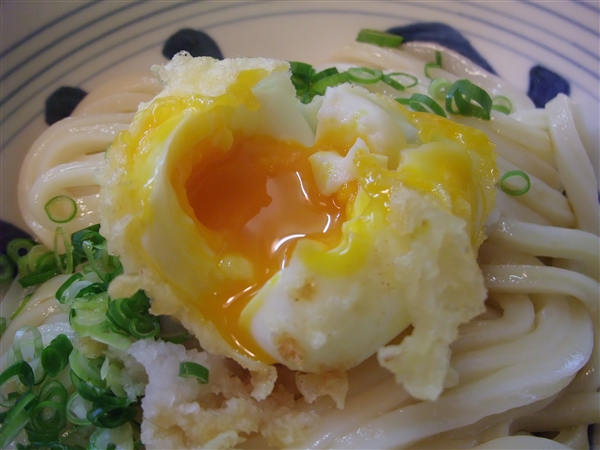 img20090408_6.jpg